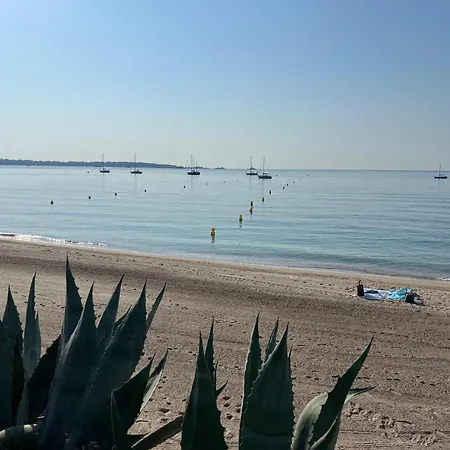 Villa La Pastourelle - 360 Sea , Cap D'antibes & Mountain View Vallauris